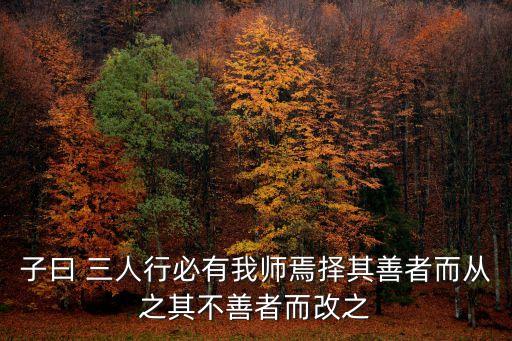 擇其善者而從之為上海市教師點贊，溫故而知新可以為師矣 2 子曰三人行必有我師焉擇