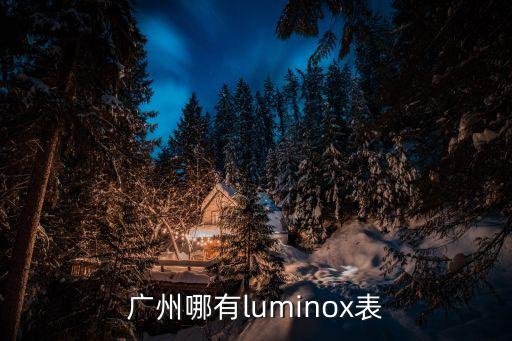 魯美諾斯軍表廣州店，廣州那里有Luminox魯美諾斯手表的專(zhuān)賣(mài)店