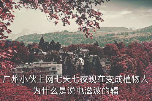 廣州小伙上網(wǎng)七天七夜現(xiàn)在變成植物人為什么是說(shuō)電滋波的輻