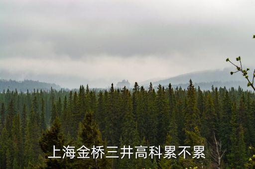 上海市8小時的工作，上海金橋三井高科累不累
