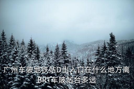 廣州天河車陂d出口站街，廣州車陂地鐵站D出入口在什么地方離BRT車陂站臺多遠