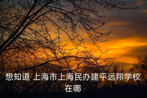 上海市建平遠翔學校面談如何，想知道 上海市上海民辦建平遠翔學校在哪