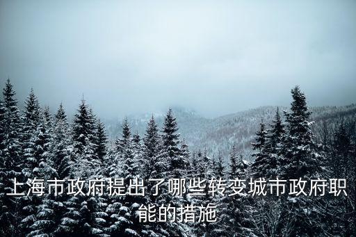 上海市城市發(fā)展短板的調(diào)研，城市發(fā)展意見(jiàn)和建議