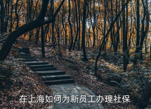 上海市新辦理社保卡委托，上海市社保卡如何辦理