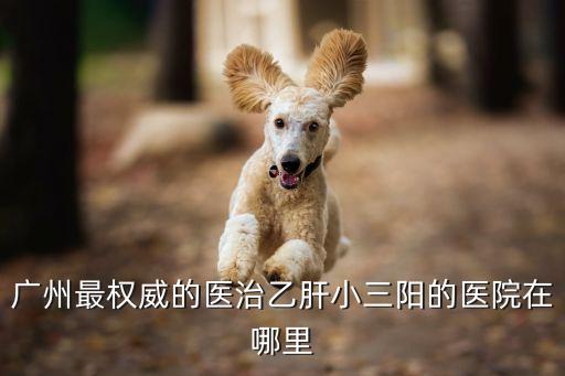 廣州哪里治小三陽(yáng)地址，廣州最權(quán)威的醫(yī)治乙肝小三陽(yáng)的醫(yī)院在哪里
