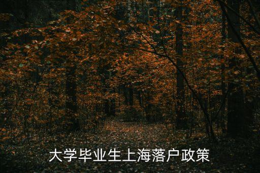 上海市畢業(yè)生落戶加分細(xì)則，大學(xué)畢業(yè)生上海落戶政策