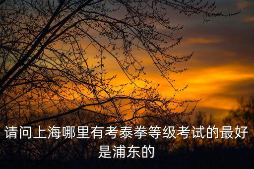 上海市武術協會官網，虹口體育場有學劍道的嗎