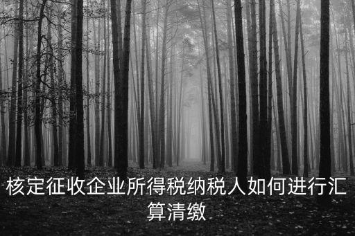 上海市企業(yè)所得稅核定征收，核定征收企業(yè)所得稅納稅人如何進行匯算清繳