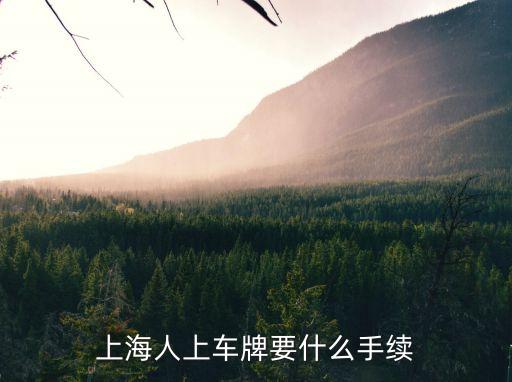 上海市買車上牌需要什么手續(xù)，上海購車如何上牌