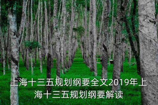 上海市的十三五規劃，2018年上海市十三五發展規劃全文