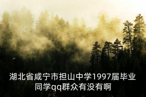 湖北省咸寧市擔山中學1997屆畢業同學qq群眾有沒有啊
