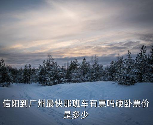 信陽到廣州最快那班車有票嗎硬臥票價是多少