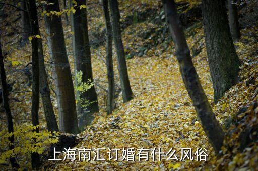 上海市南匯區(qū)訂婚禮金風(fēng)俗，上海南匯訂婚有什么規(guī)矩男方南匯女方江蘇的