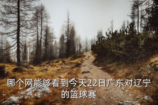 遼寧男籃vs廣州直播解說，哪個網能夠看到今天22日廣東對遼寧的籃球賽