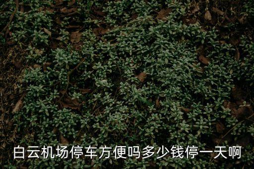 白云機場停車方便嗎多少錢停一天啊