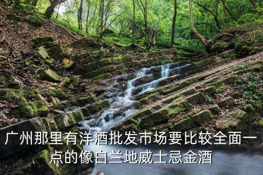廣州開發(fā)區(qū)哪里有批發(fā)酒，廣州的煙酒批發(fā)市場
