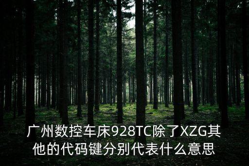 廣州數控車床928TC除了XZG其他的代碼鍵分別代表什么意思