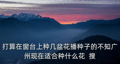 打算在窗臺上種幾盆花播種子的不知廣州現在適合種什么花  搜