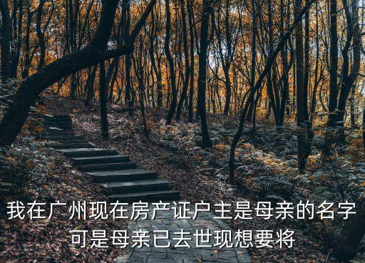 廣州房產轉父母名字，我在廣州現在房產證戶主是母親的名字可是母親已去世現想要將