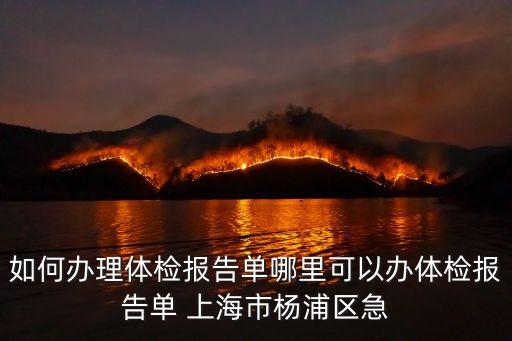 如何辦理體檢報告單哪里可以辦體檢報告單 上海市楊浦區急