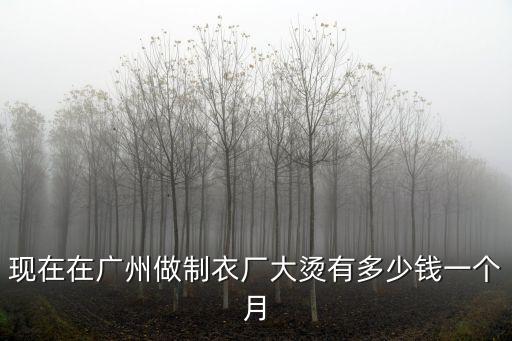 現(xiàn)在在廣州做制衣廠大燙有多少錢一個月