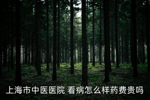 上海市中醫醫院 看病怎么樣藥費貴嗎