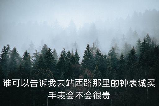 誰可以告訴我去站西路那里的鐘表城買手表會不會很貴