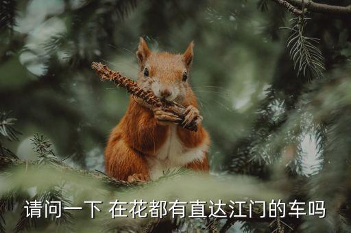 請(qǐng)問(wèn)一下 在花都有直達(dá)江門(mén)的車嗎