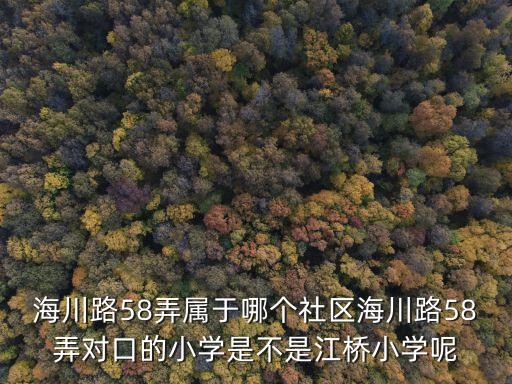 上海市海川路58弄居委會，海川路58弄屬于哪個社區海川路58弄對口的小學是不是江橋小學呢