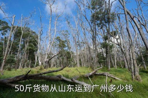 聊城到廣州物流郵費多少，50斤貨物從山東運到廣州多少錢