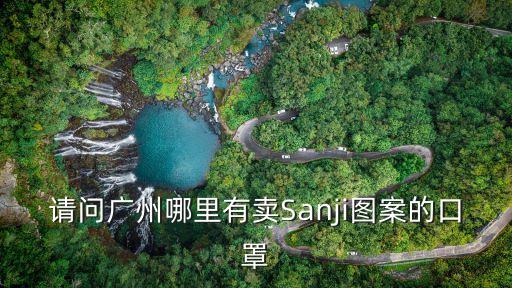 廣州康邦口罩圖片，請(qǐng)問(wèn)廣州哪里有賣Sanji圖案的口罩