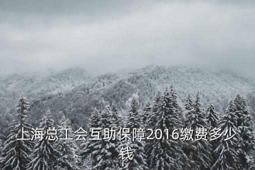 上海市總工會互助保障費繳多少錢，2016上海總工會補充醫保交多少錢