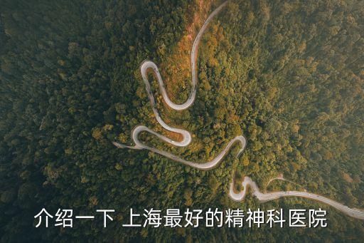 介紹一下 上海最好的精神科醫院