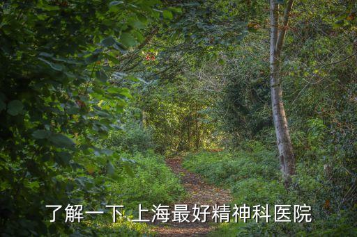上海市權威性的精神醫院，了解一下 上海最好精神科醫院