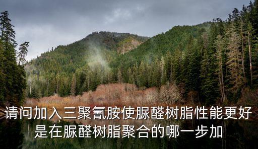 請問加入三聚氰胺使脲醛樹脂性能更好是在脲醛樹脂聚合的哪一步加