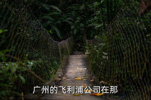 飛利浦電話機(jī)座機(jī)廣州維修點(diǎn)，廣州的飛利浦公司在那