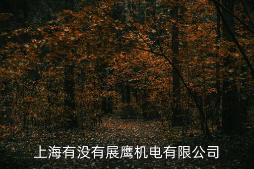 上海市開箱機廠商，上海有沒有展鷹機電有限公司