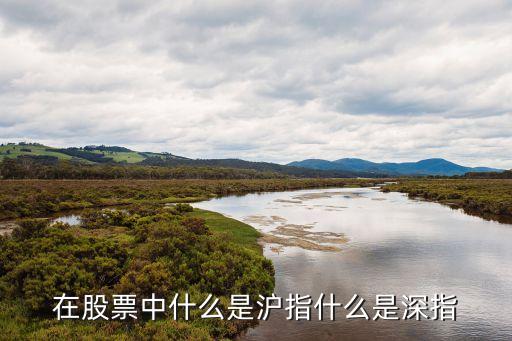 滬指深指廣州指數，在股票中什么是滬指什么是深指