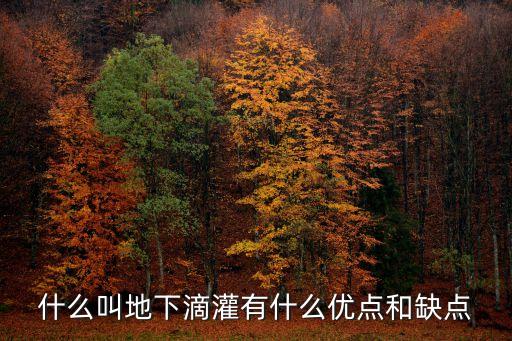 什么叫地下滴灌有什么優(yōu)點(diǎn)和缺點(diǎn)