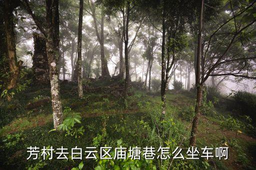 芳村去白云區廟塘巷怎么坐車啊