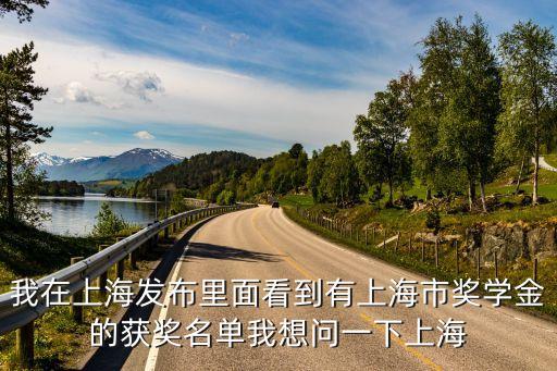 我在上海發(fā)布里面看到有上海市獎學金的獲獎名單我想問一下上海
