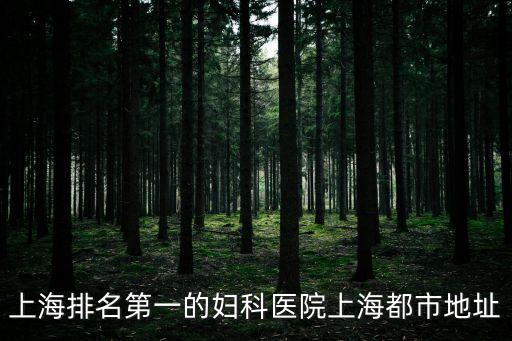 上海市第一婦科醫院，上海排名第一的婦科醫院上海都市地址