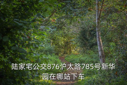 上海市滬太路新華園，陸家宅公交876滬太路785號(hào)新華園在哪站下車