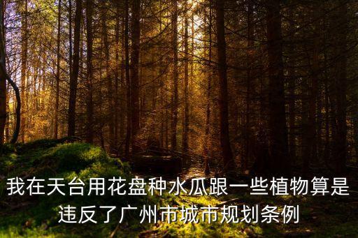 我在天臺用花盤種水瓜跟一些植物算是違反了廣州市城市規(guī)劃條例