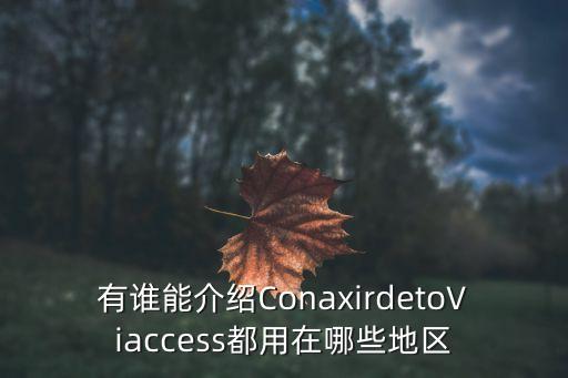 廣州索沃視訊科技，Solkey315 這個東西怎么進行設置 攝像頭老打不開