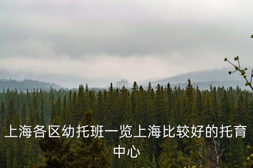 上海各區(qū)幼托班一覽上海比較好的托育中心
