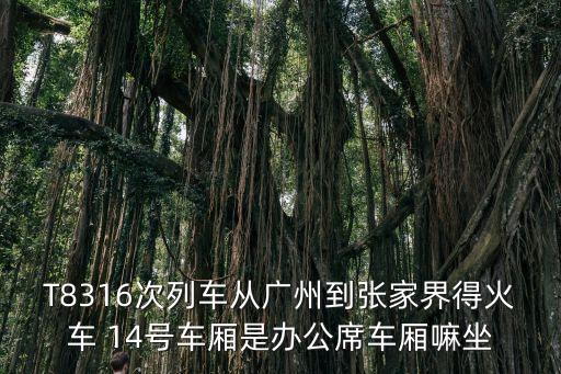 廣州到張家界火車站有多少人，T8316次列車從廣州到張家界得火車 14號車廂是辦公席車廂嘛坐