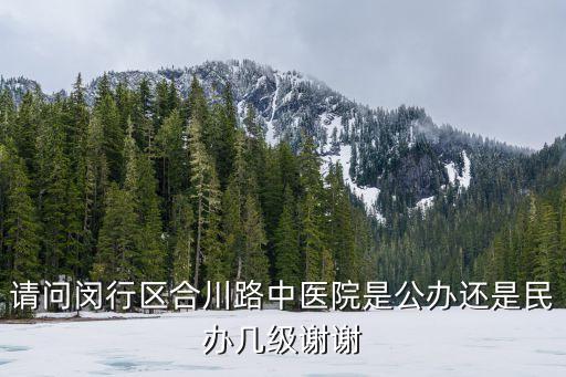 請(qǐng)問(wèn)閔行區(qū)合川路中醫(yī)院是公辦還是民辦幾級(jí)謝謝