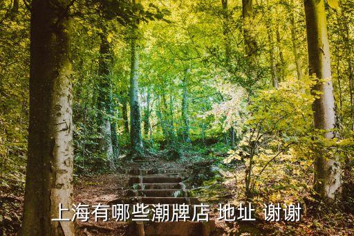 上海市區潮牌商場有哪些，上海哪家大商場潮牌最多