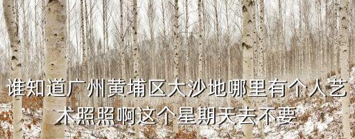 藝術照小男生廣州，想幫孩子照藝術照 廣州哪家比較好的